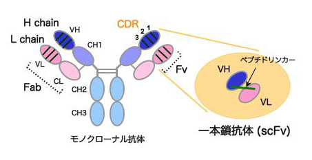 research_img03.jpg