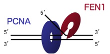 research_img07.jpg